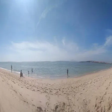 Bird House * לוריניה