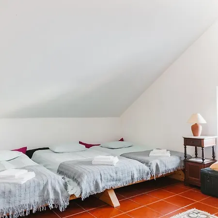 בית נופש Bird House לוריניה